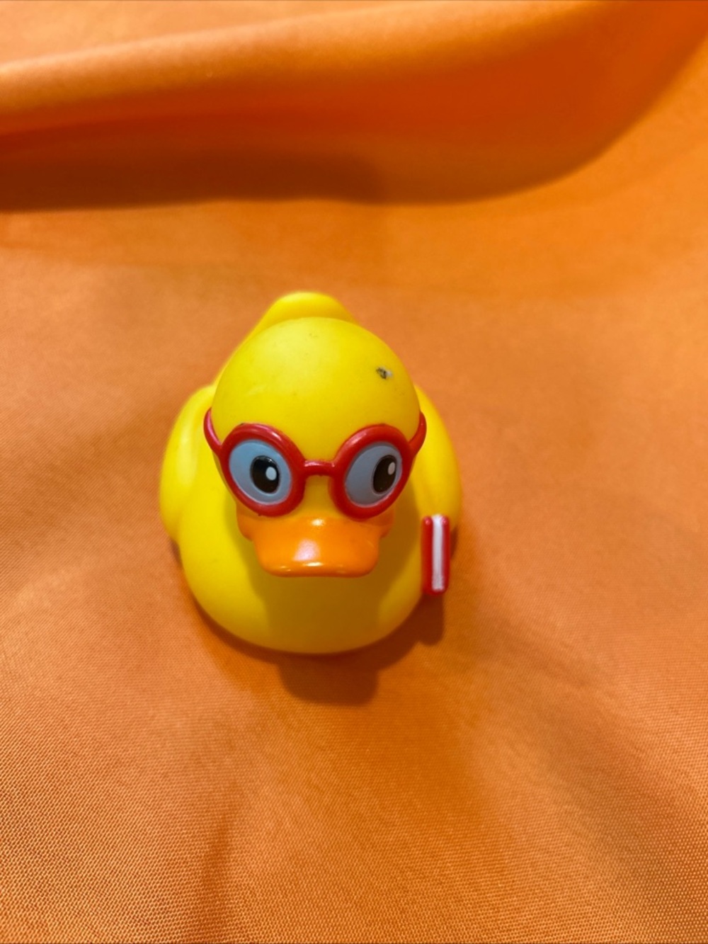 Book Carrying Rubber Duck
